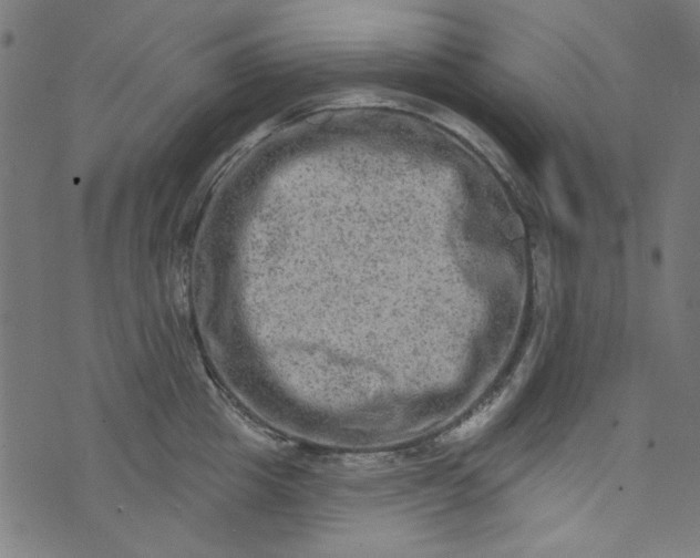 X0000073730857200608171227