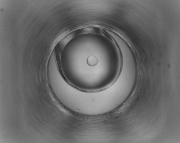 X0000073730858200608171227