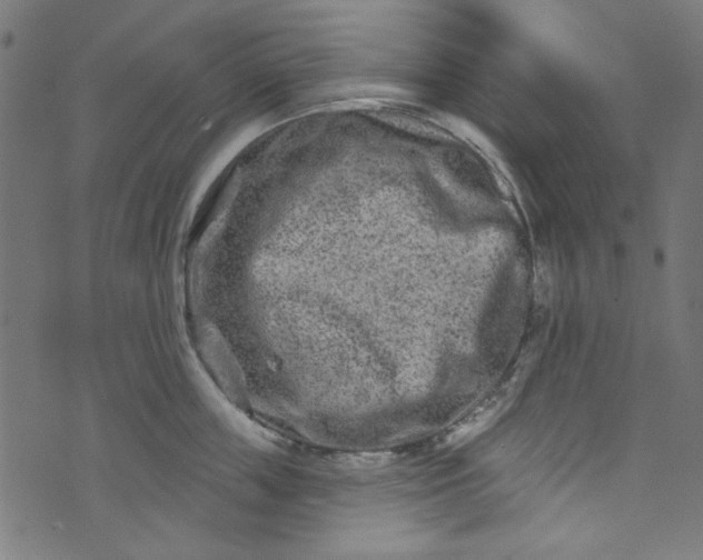 X0000073730859200608171227