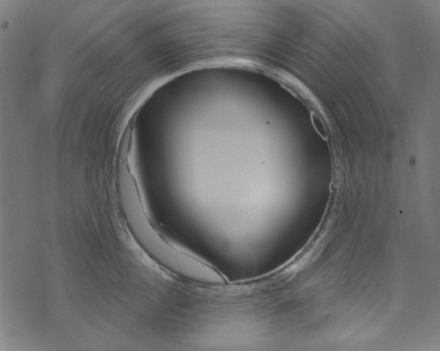 X0000073730860200608171227