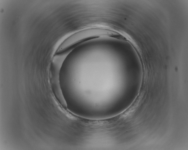 X0000073730862200608171227