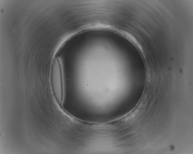 X0000073730863200608171227