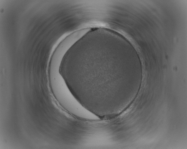 X0000073730864200608171227