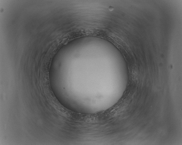 X0000073730865200608171226