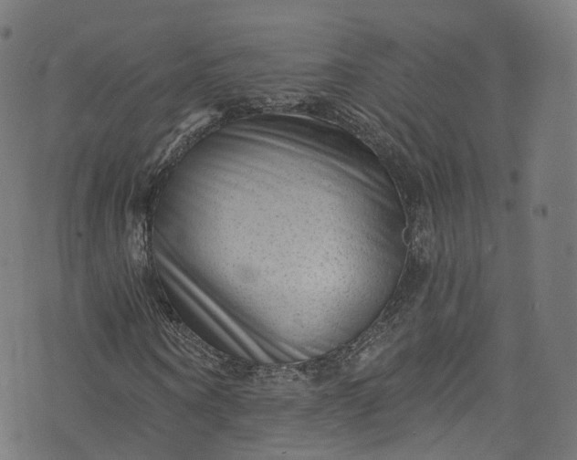 X0000073730866200608171226