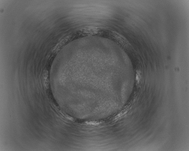 X0000073730867200608171226