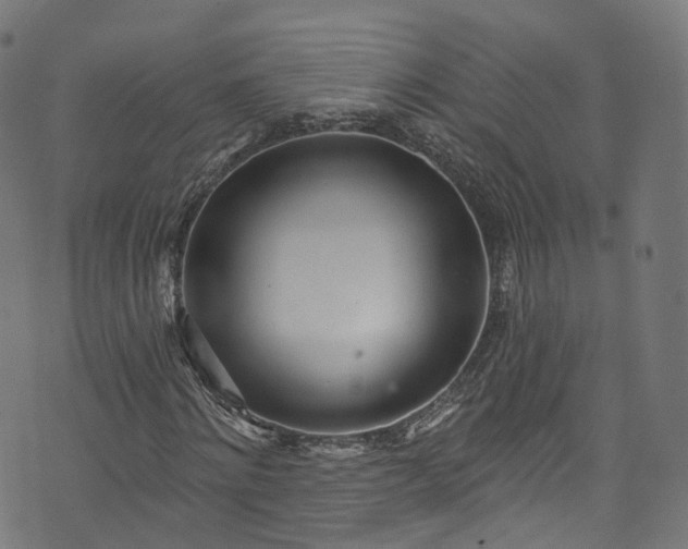 X0000073730868200608171226