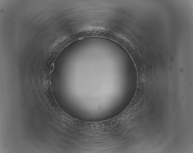 X0000073730869200608171226