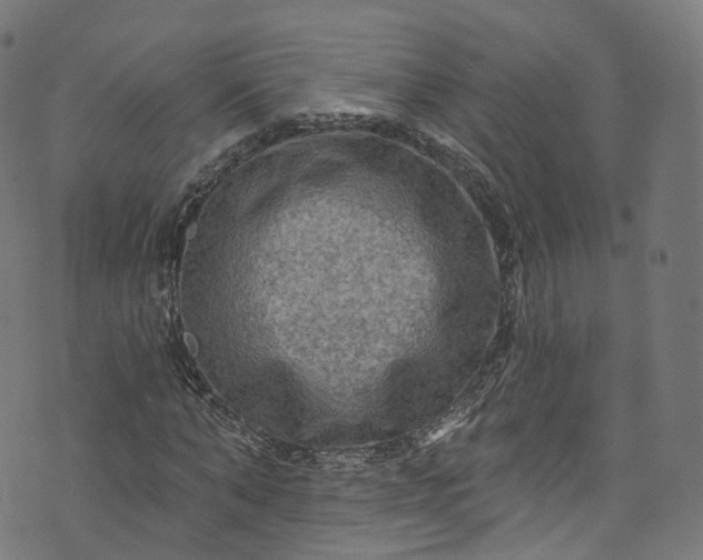 X0000073730870200608171226