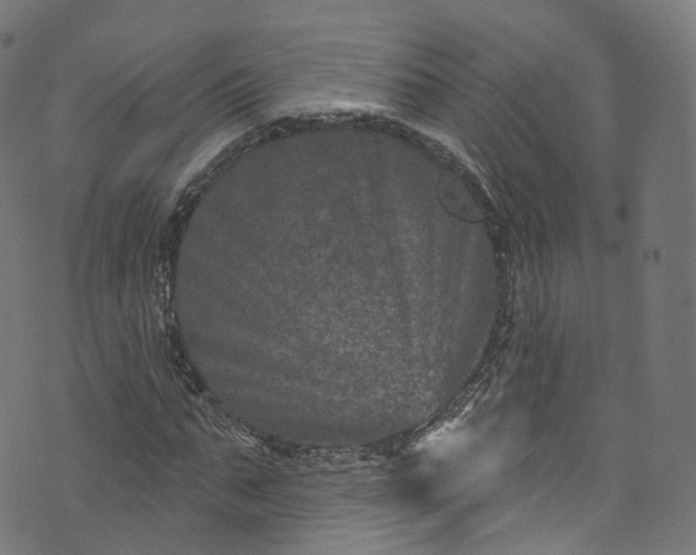 X0000073730871200608171226