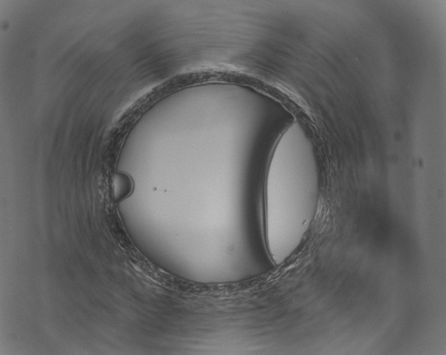 X0000073730872200608171226