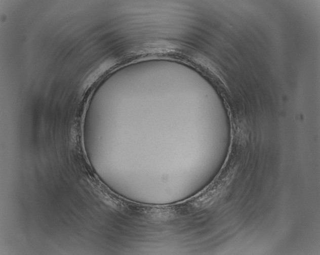 X0000073730874200608171226