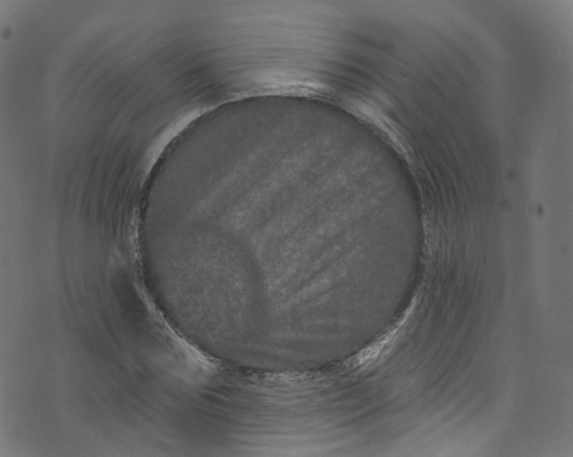 X0000073730875200608171226