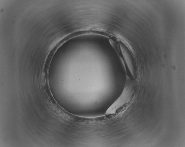 X0000073730876200608171226