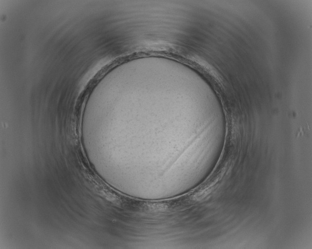 X0000073730878200608171226