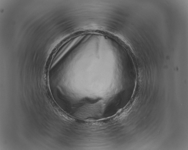 X0000073730879200608171226