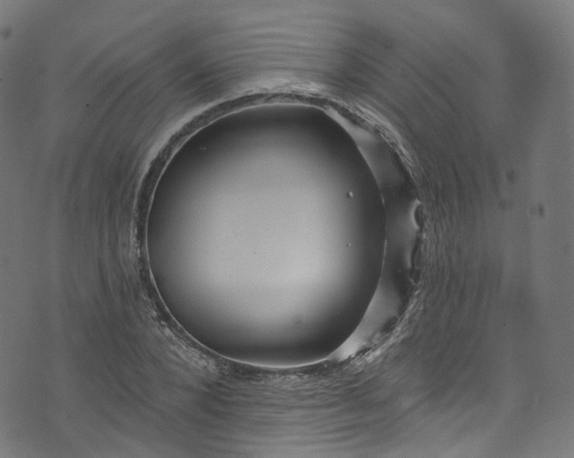 X0000073730880200608171226