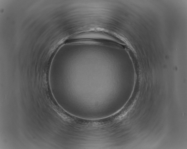 X0000073730881200608171226