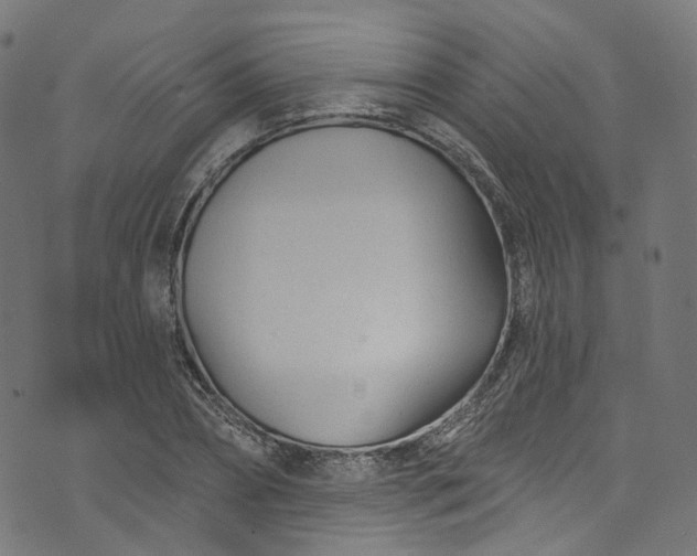 X0000073730882200608171226