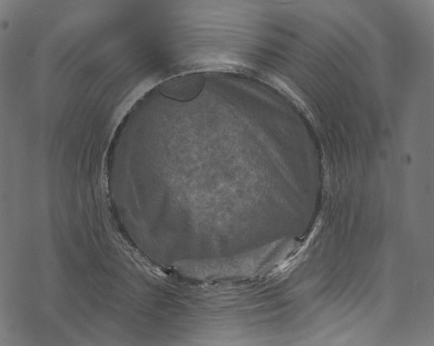 X0000073730883200608171226