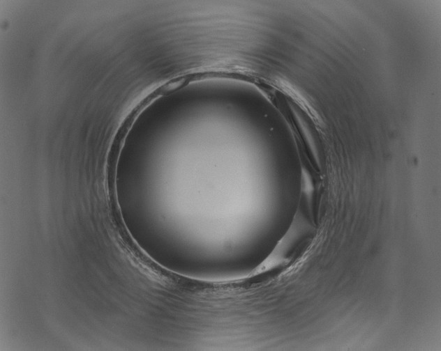 X0000073730884200608171226