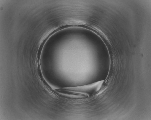 X0000073730885200608171226