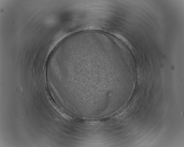 X0000073730886200608171226