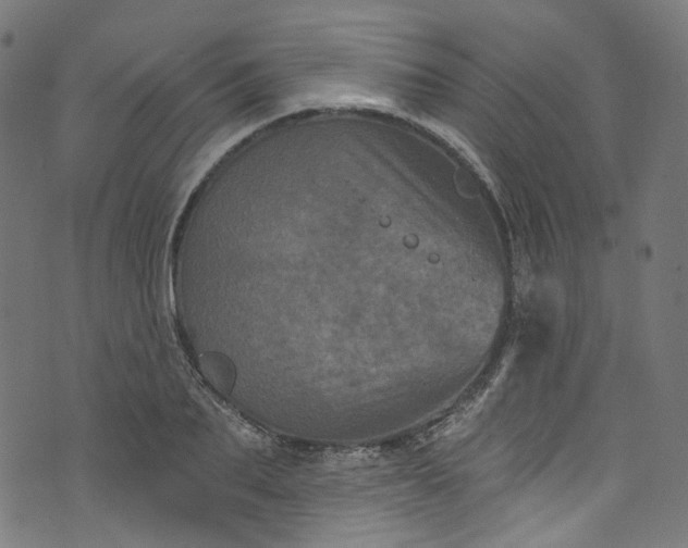 X0000073730887200608171226