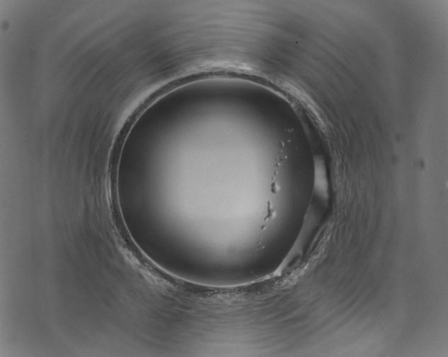 X0000073730888200608171226