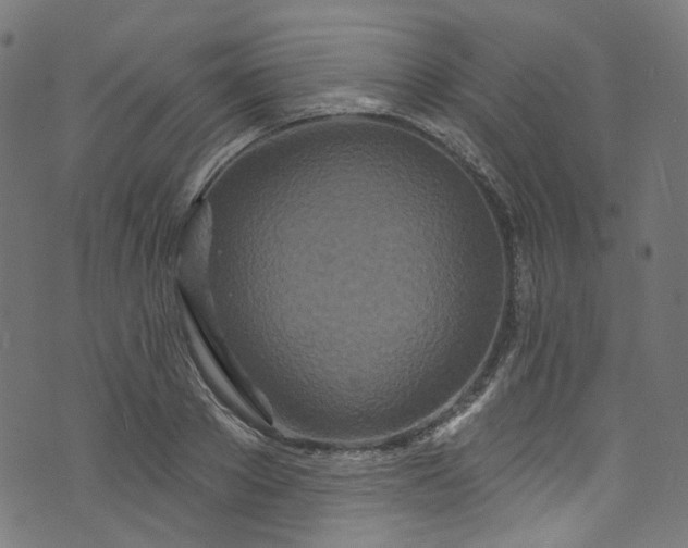 X0000073730889200608171226