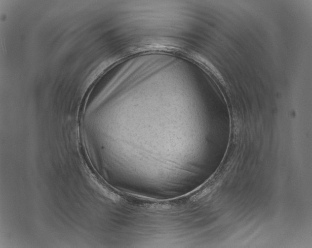 X0000073730890200608171226