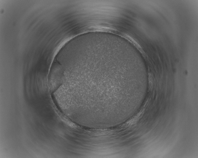 X0000073730891200608171226