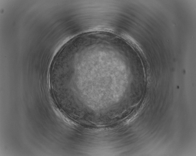 X0000073730892200608171226