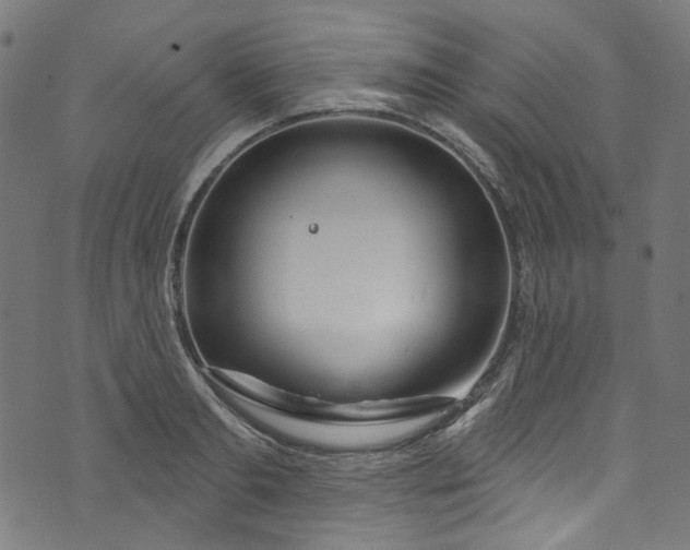 X0000073730893200608171226