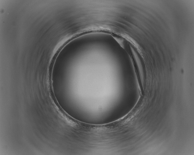 X0000073730894200608171226