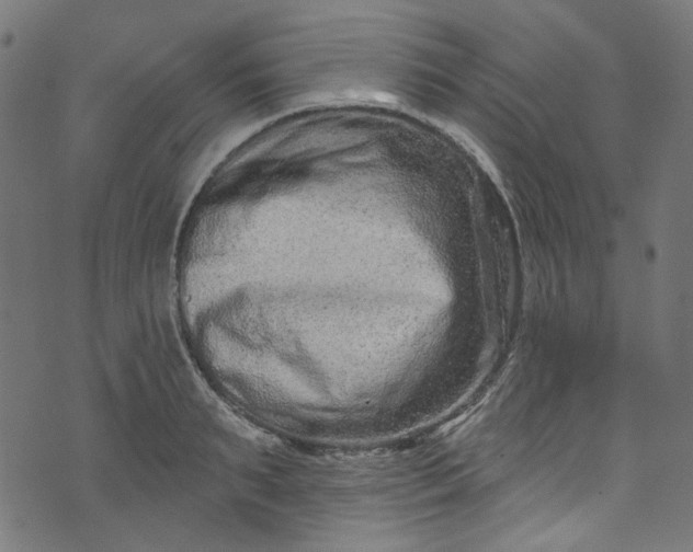 X0000073730895200608171226