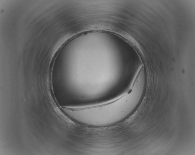 X0000073730896200608171226