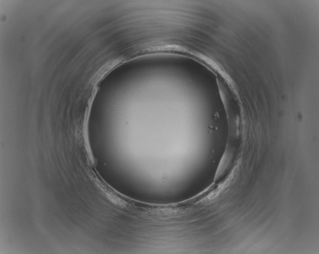 X0000073730897200608171226