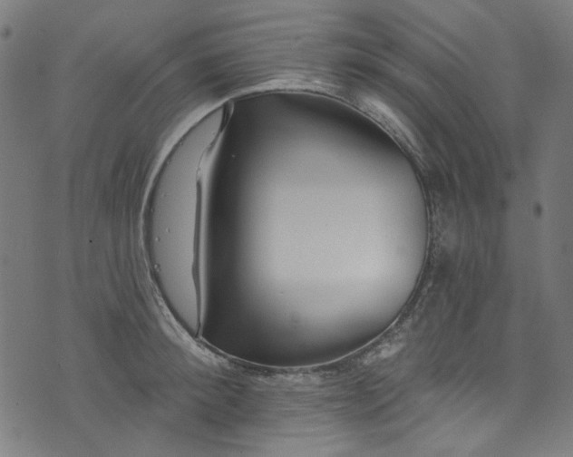 X0000073730900200608171226