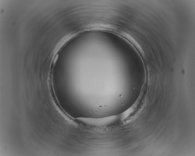 X0000073730901200608171226