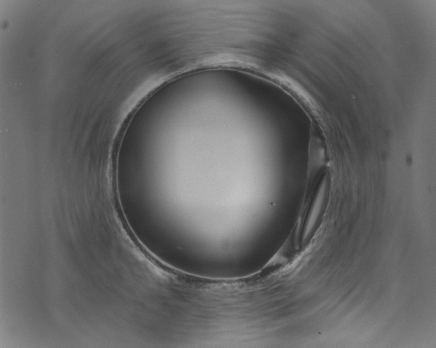 X0000073730902200608171226