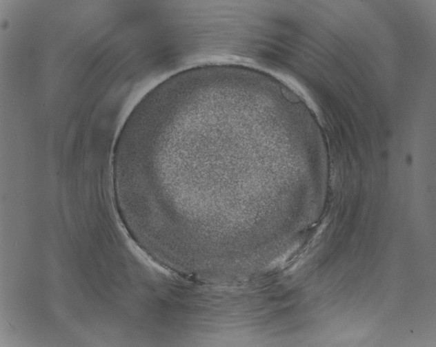 X0000073730903200608171226