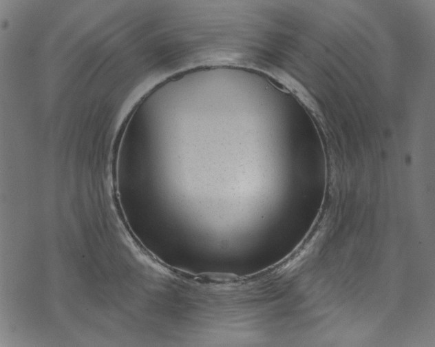 X0000073730904200608171226