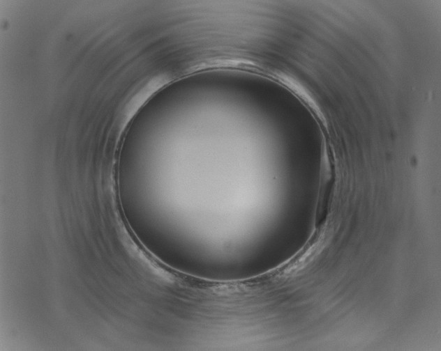 X0000073730906200608171226