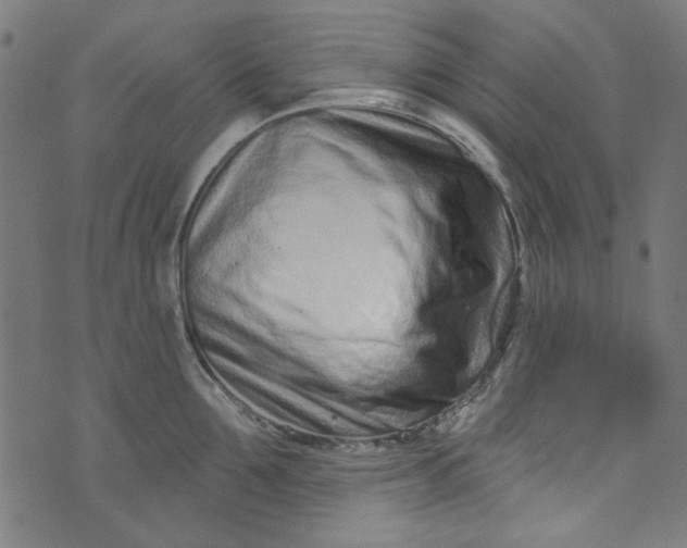 X0000073730907200608171225