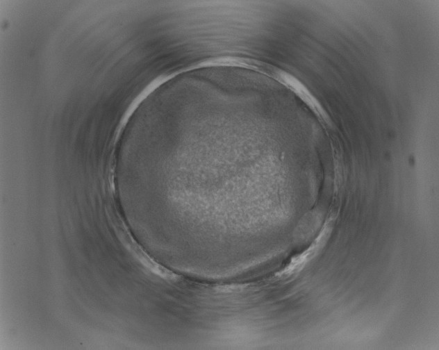 X0000073730908200608171225