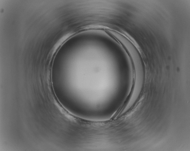 X0000073730909200608171225