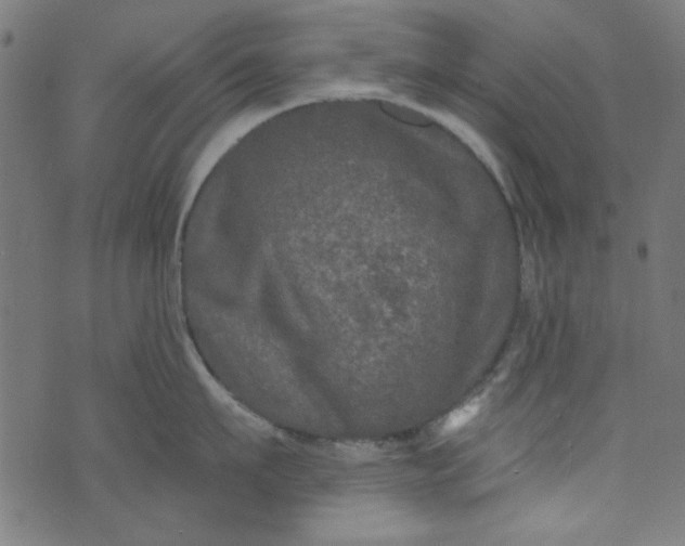 X0000073730911200608171225