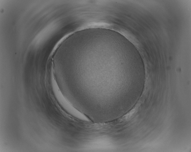 X0000073730912200608171225