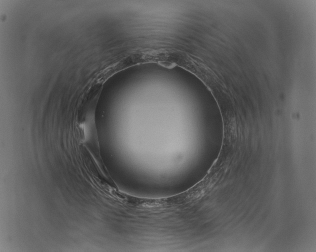 X0000073730914200608171225